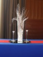 /album/kongres-navy-usa-vyzdoba-hotel-sheraton-16-11-2013-bratislava/a041-kopia-jpg/